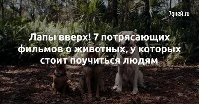 Фотка Джоэнн Фрогатт: Усиление кинематографической атмосферы