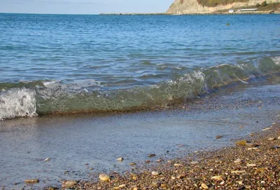 Приют для дикой природы: Очаровательные фотографии морской фауны Джубга моря