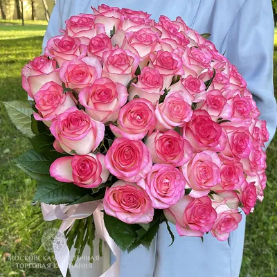 Фото розы Джумилия: выберите размер и формат скачивания