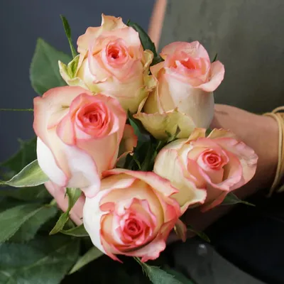 Изображение Джумилия розы: сохраните в художественном формате