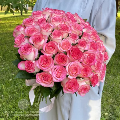 Фотка розы Джумилия: подчеркните элегантность с помощью этого изображения