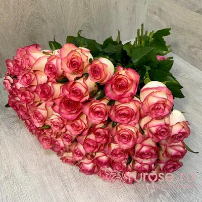 Картинка Джумилия розы: насладитесь этой великолепной розой на вашем устройстве