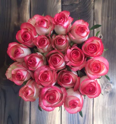 Изображение розы Джумилия: улавливайте эмоции на каждом кадре