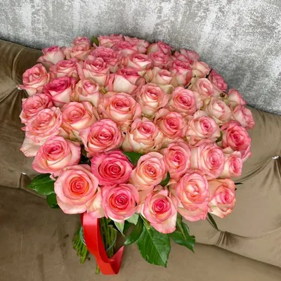 Фото розы Джумилия в формате png: прекрасное сочетание нежности и красоты
