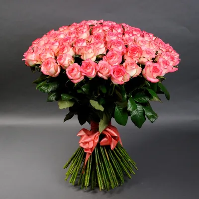Фото розы Джумилия в формате webp: быстрая загрузка и высокое качество