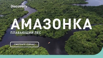 Фотографии, показывающие красоту и магию Джунглей Амазонки