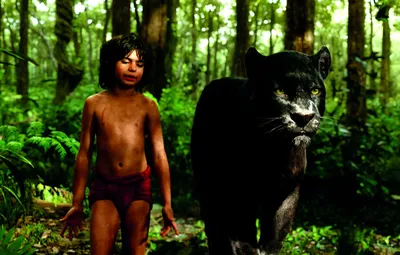 Живописные обои с дикими животными из фильма Джунгли в 4K