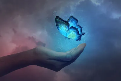 Картинка с эффектом бабочки: красота природы на вашем экране