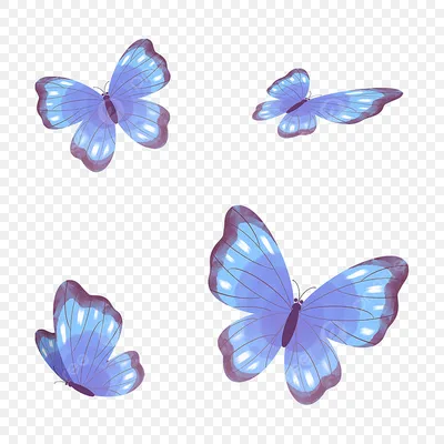 Фотография с бабочками: создайте оригинальную композицию