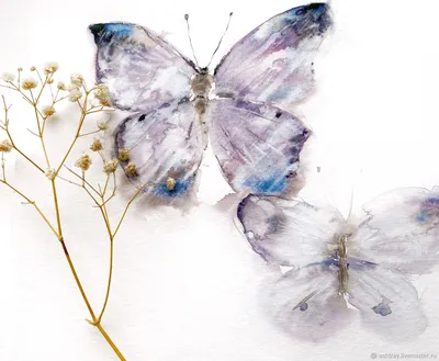 Фото эффекта бабочки: проникнитесь красотой природы