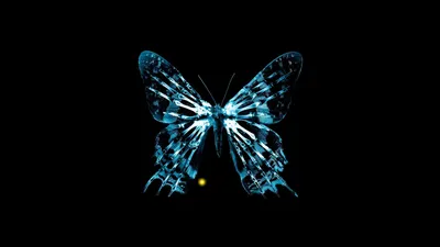 Картинка с эффектом бабочки: сохраните удивительные мгновения