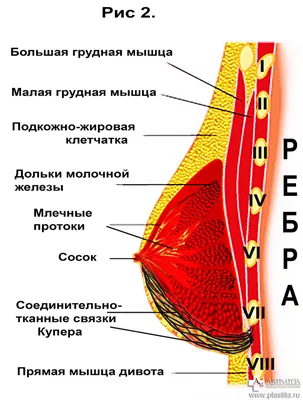 Фото эффекта водопада после маммопластики: качественные изображения для скачивания