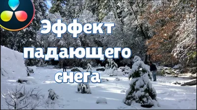 Обои снежной красоты на телефон: скачать бесплатно.