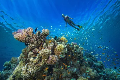 Фото и обои на телефон с красивыми видами Красного моря