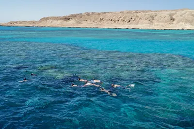 Отпускные фотографии: роскошные пляжи и прозрачные воды Красного моря