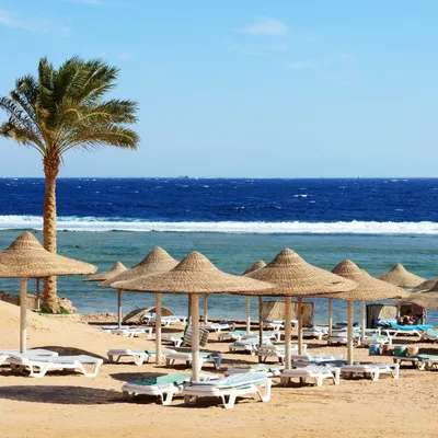 Картинки Египет море: Арт обои на андроид в стиле 4K