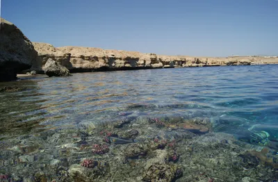 Фотографии Египетского моря в ярких и сочных цветах