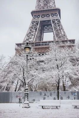Зимний аромат Эйфелевой башни: Фото в формате WebP