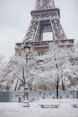 Зимний пейзаж с Эйфелевой башней в JPG формате
