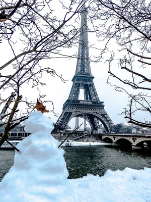 Зимние образы Эйфелевой башни: JPG, PNG, WebP