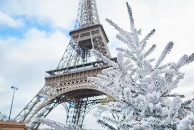 Зимний вид на Эйфелеву башню: выберите формат изображения