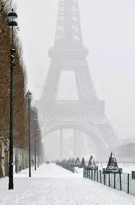 Зимний пейзаж с Эйфелевой башней