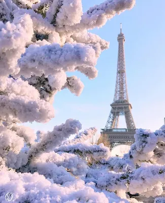 Эйфелева башня под белым одеялом зимы