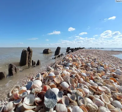 Великолепные пейзажи Ейского азовского моря: фото и обои для загрузки