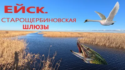 Впечатляющие фотографии Азовского моря в Full HD качестве