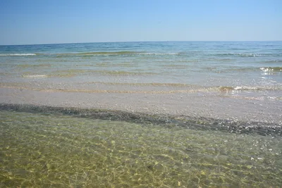 Природа и море Ейска: фотографии пляжей и природных достопримечательностей