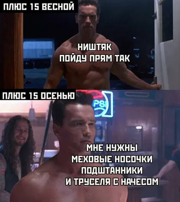 Новые смешные картинки: скачать в формате JPG, PNG, WebP