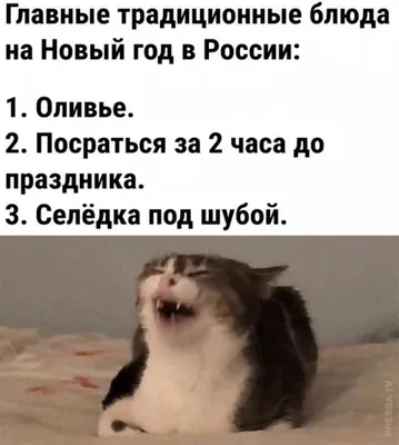 Новые смешные картинки для скачивания в формате JPG, PNG, WebP, HD