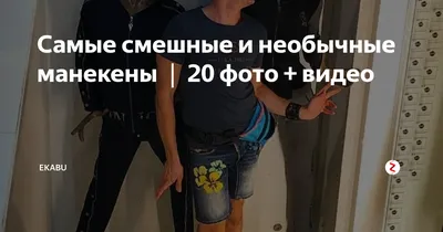 **Улыбнитесь с Екабу: 30 забавных фотографий для позитивного настроения**