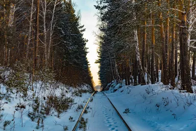 Зимний Край: Фотографии Екатеринбурга в Заснеженной Дали