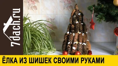 Картинка Елки в экологичном стиле: Изображения с выбором форматов