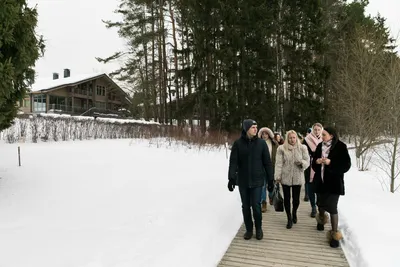 Изображение Эко отеля изумрудный лес в хорошем качестве