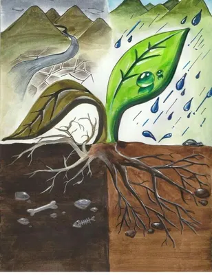 Экологический Плакат В Картинках  фото