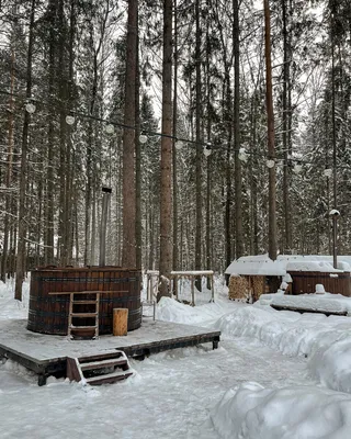 Картинка Экоотель Романов лес: погружение в живописные лесные пейзажи