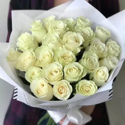 Уникальные эквадорские розы, доступные для загрузки в webp