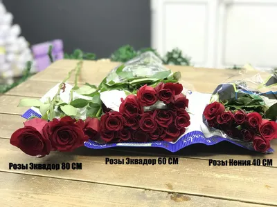 Уникальное изображение эквадорских роз на вашем компьютере в webp