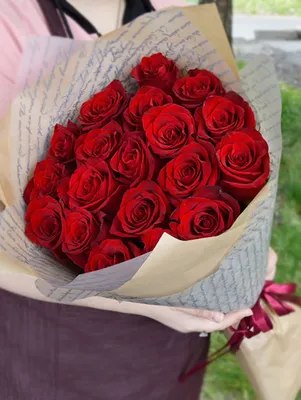 Фотография прекрасных эквадорских роз в стандартном формате jpg