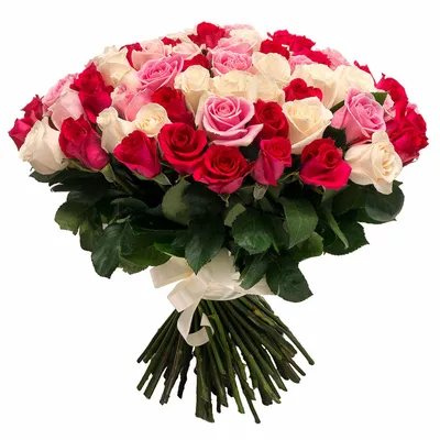 Удивительное изображение эквадорских роз в webp-формате для скачивания