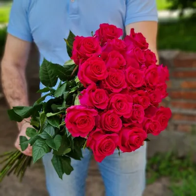 Привлекательные эквадорские розы в png формате