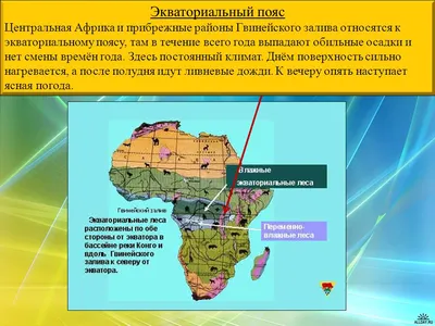 Свежий взгляд: Фотоэкспедиция в экваториальные леса 2024 года