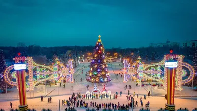 21. Волшебный лес: Елка в формате фотографии