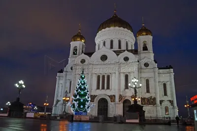 Изображение елки в Храме Христа Спасителя: Волшебство религиозного искусства