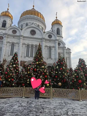 Фотография елочного убранства в храме: Дух Рождества