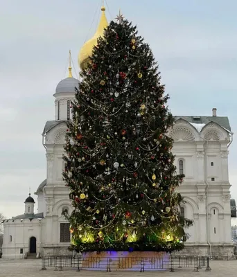 Фото Елки в Кремле: Изысканные изображения в формате JPG