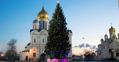 Изысканные фотографии Елки в Кремле в разных размерах