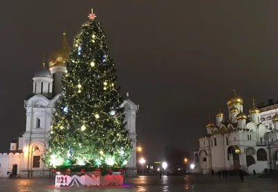 Фотка Елки в Кремле: Отличное изображение в PNG формате